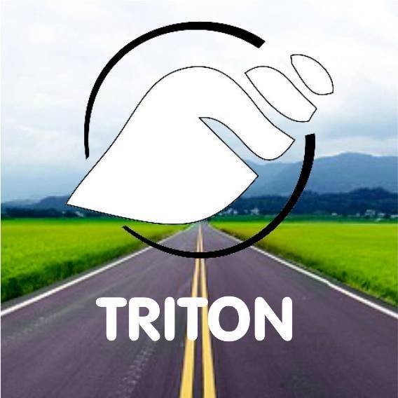 Grupo Triton